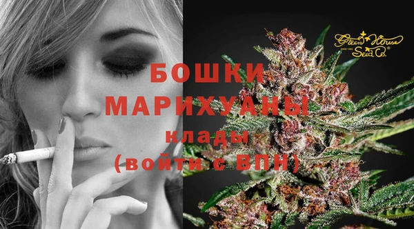шишки Покровск