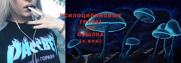 спайс Покачи