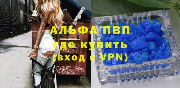 спайс Покачи