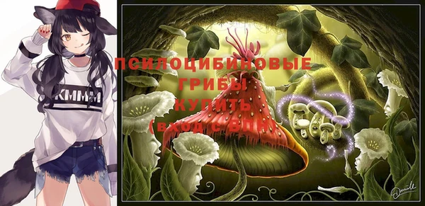 шишки Покровск