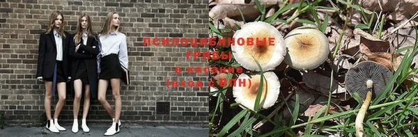 шишки Покровск