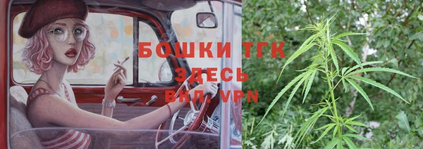 спайс Покачи