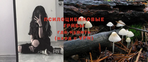 спайс Покачи