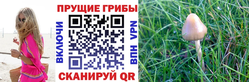 Псилоцибиновые грибы ЛСД  Саров 