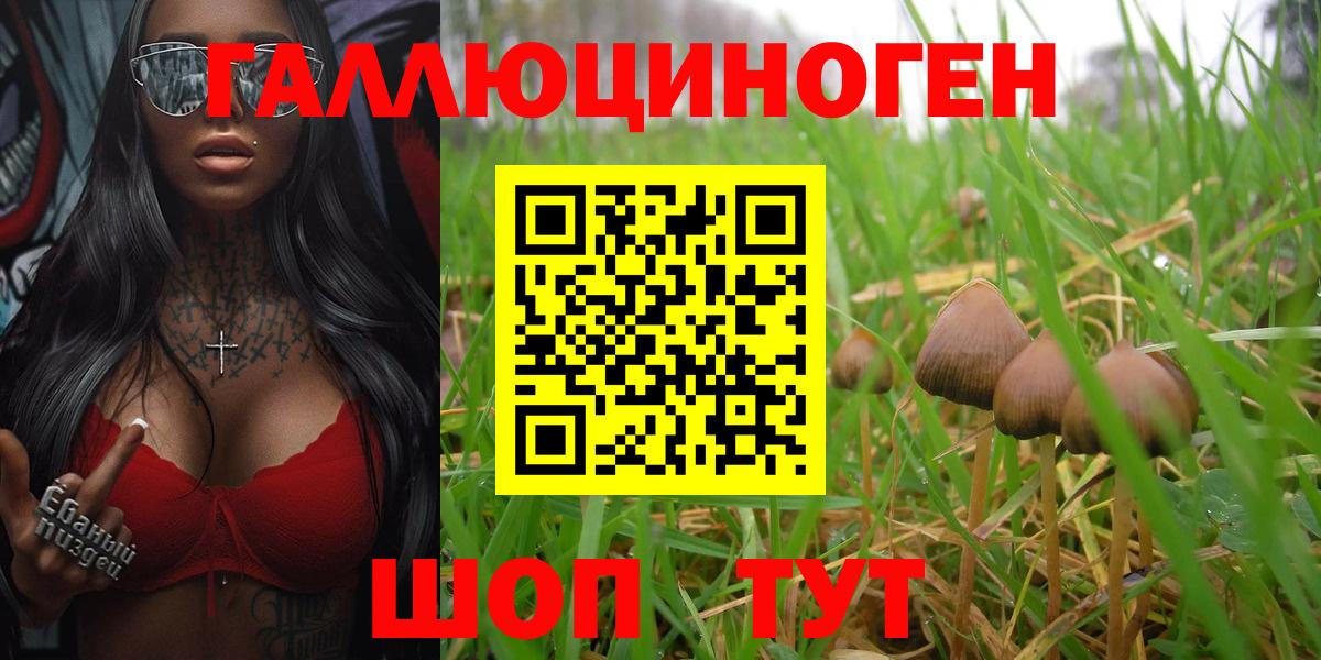 Галлюциногенные грибы мицелий  Псилоцибиновые грибы Cubensis  Саров  Вход с VPN 